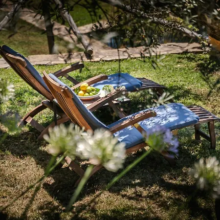 In Panoramic With Private Terrace Feriehus Sorrento